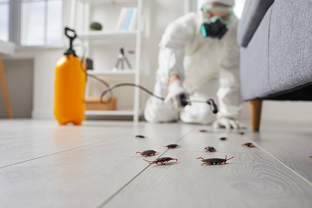 Commercial Kitchen Cockroach Control in Iuka
